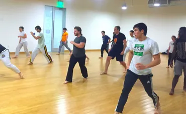 What to Expect from a Capoeira Class: Beginner to Advanced