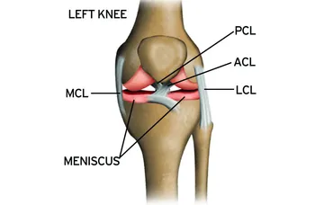 Capoeira Injury: Knee Pain During Negativa