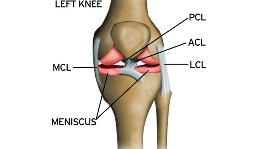 Capoeira Injury: Knee Pain During Negativa