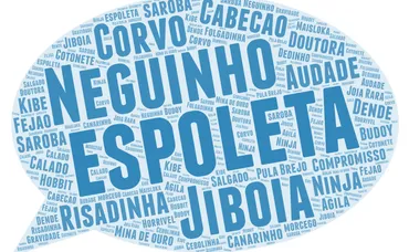 Capoeira Nicknames: How they happen and what to do if you don’t like it