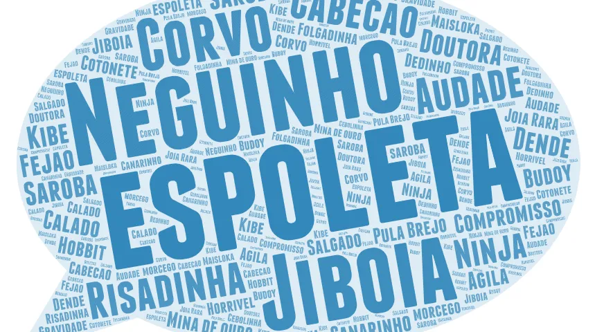 Capoeira Nicknames: How they happen and what to do if you don’t like it