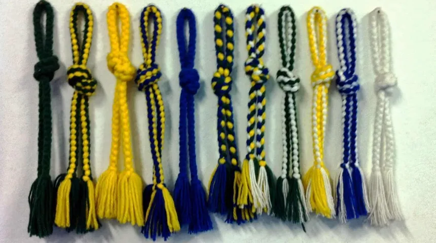 What Do Capoeira Belts Represent? Understanding Cordões in Capoeira