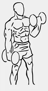 Bicep Curl Cartoon Instruction (Page 1) - Line.17QQ.com