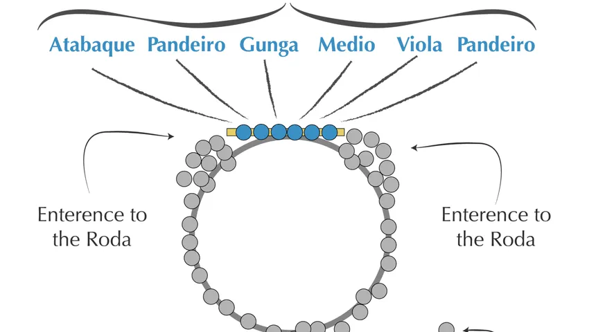 Anatomy of the Roda