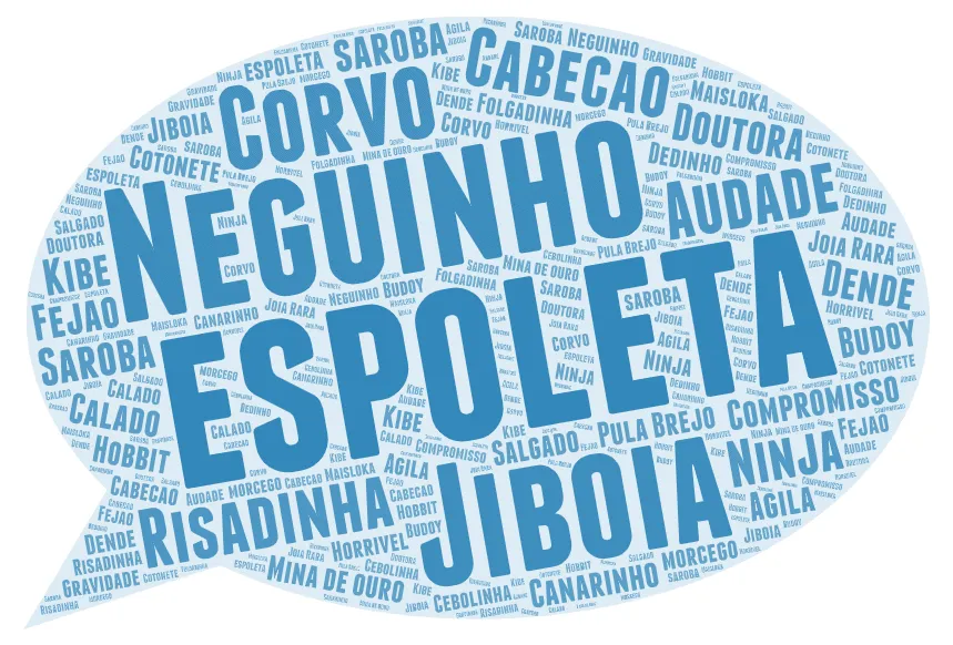 Capoeira Nicknames: How they happen and what to do if you don’t like it