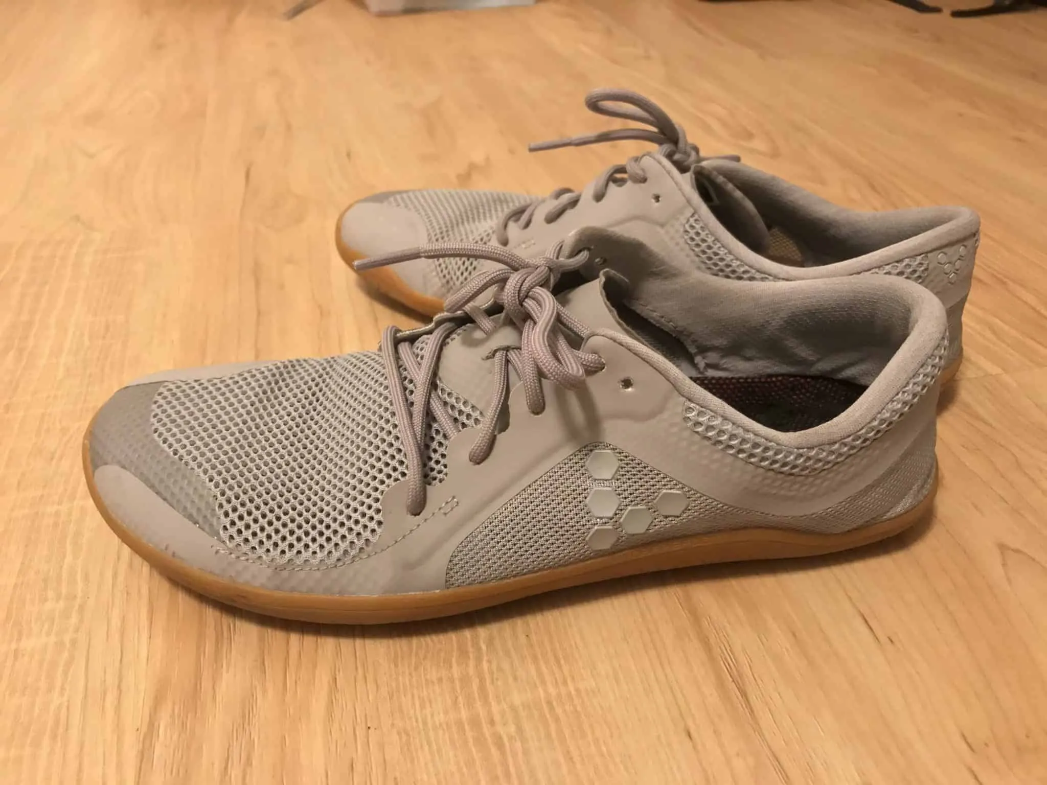 Review of the Best Shoes for Capoeira