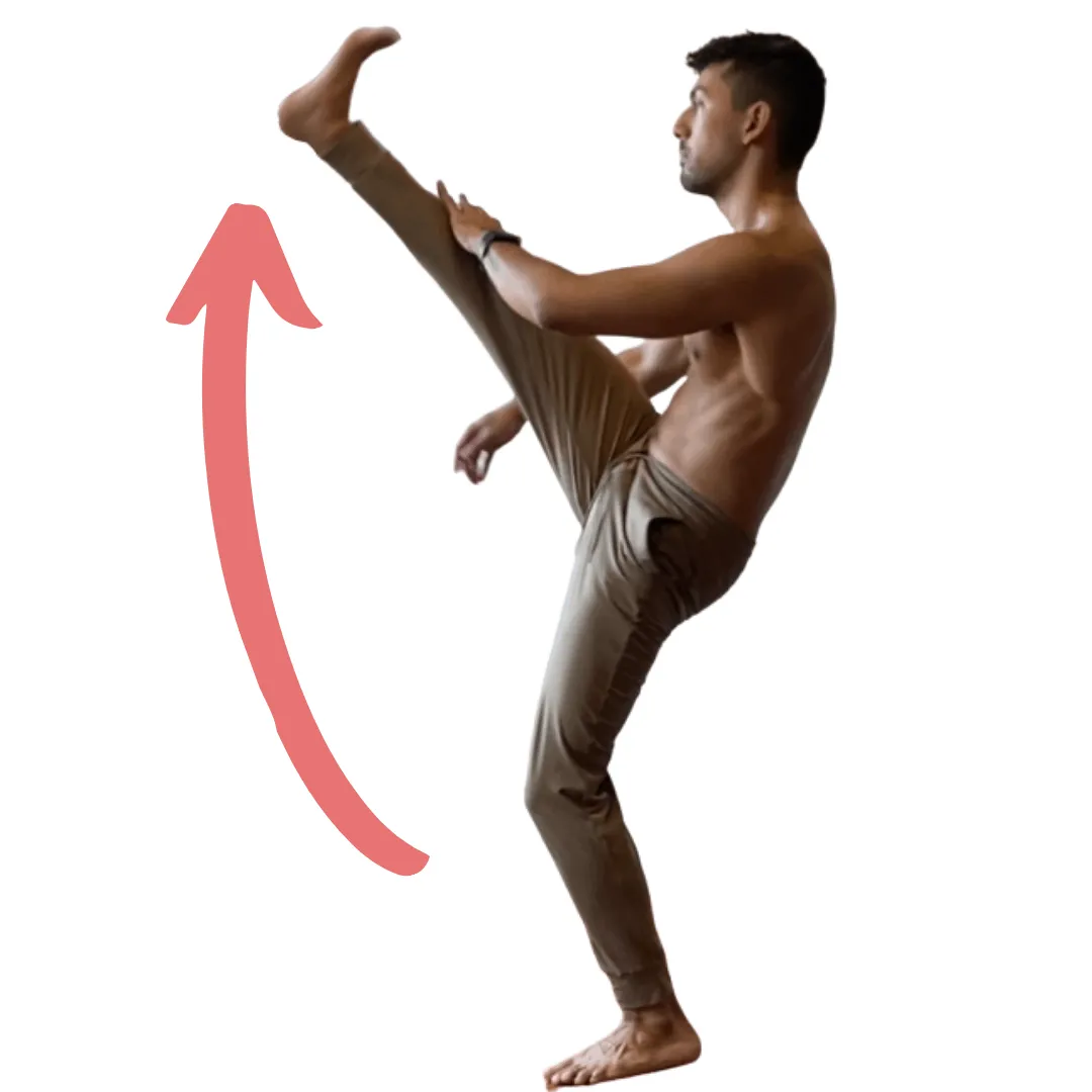 Using science to kick higher and harder in Capoeira